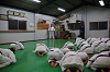 DSC01327[1]_thumb.png